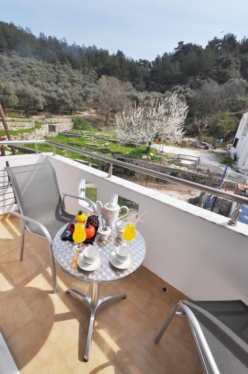 Green View Apartments Thassos Rum bild